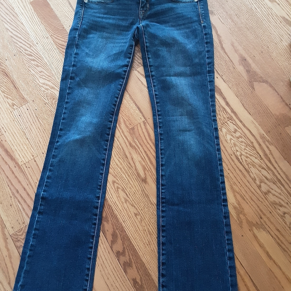 American Eagle Slim Boot Stretch Jeans Size 2 Long